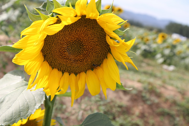 照片 039_调整大小.jpg