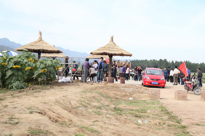 照片 041_调整大小.jpg