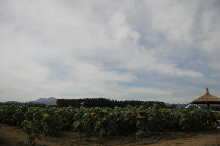 照片 042_调整大小.jpg