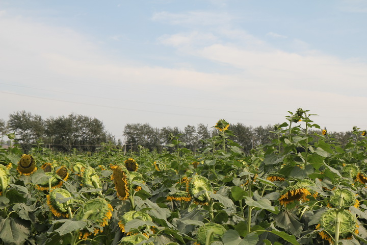 照片 044_调整大小.jpg