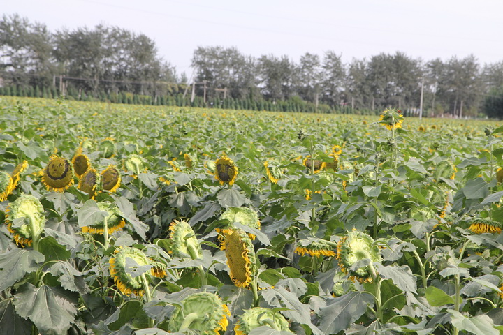 照片 045_调整大小.jpg