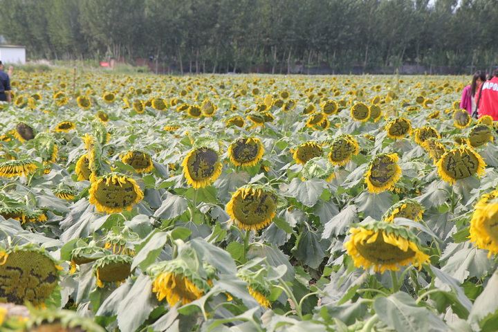 照片 046_调整大小.jpg