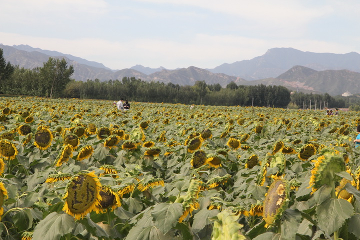 照片 047_调整大小.jpg