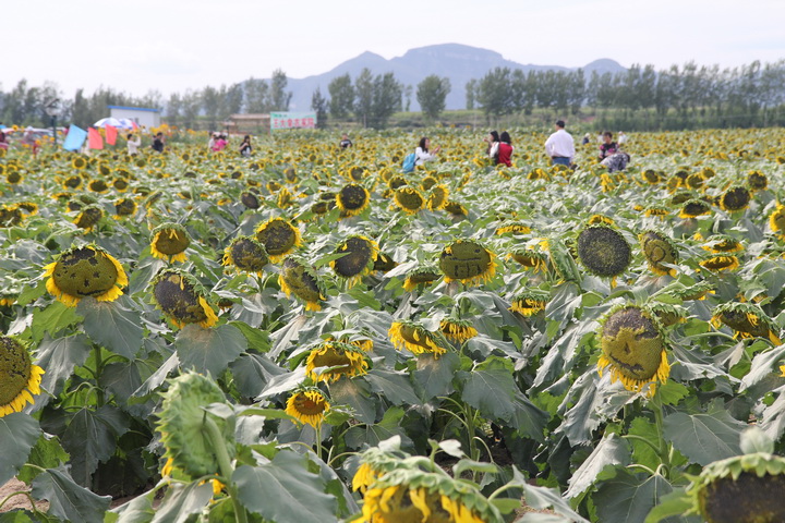 照片 048_调整大小.jpg