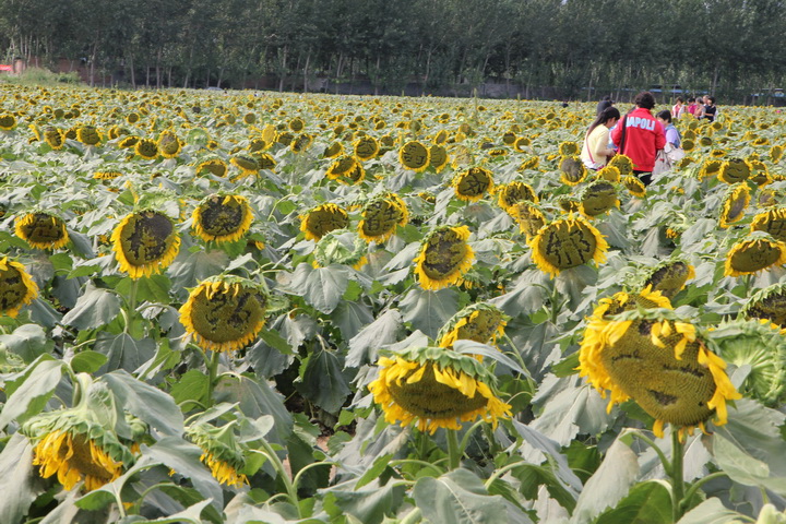 照片 049_调整大小.jpg