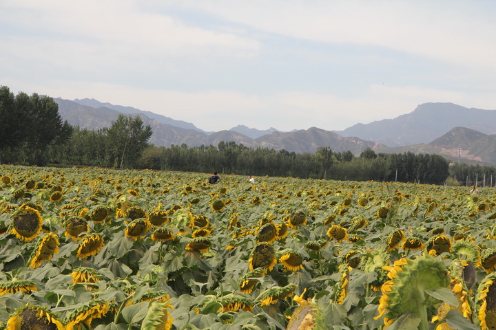 照片 051_调整大小.jpg