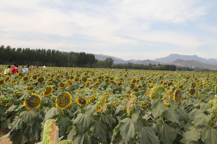 照片 053_调整大小.jpg