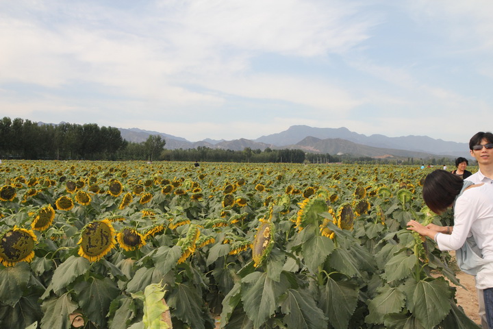 照片 054_调整大小.jpg