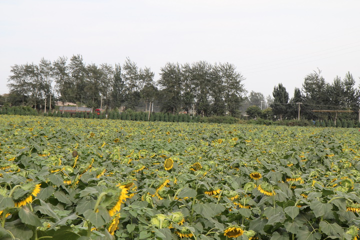 照片 055_调整大小.jpg