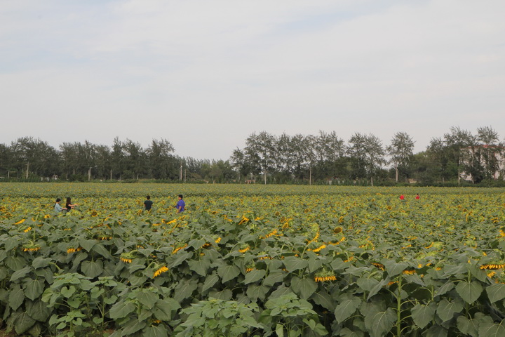 照片 056_调整大小.jpg