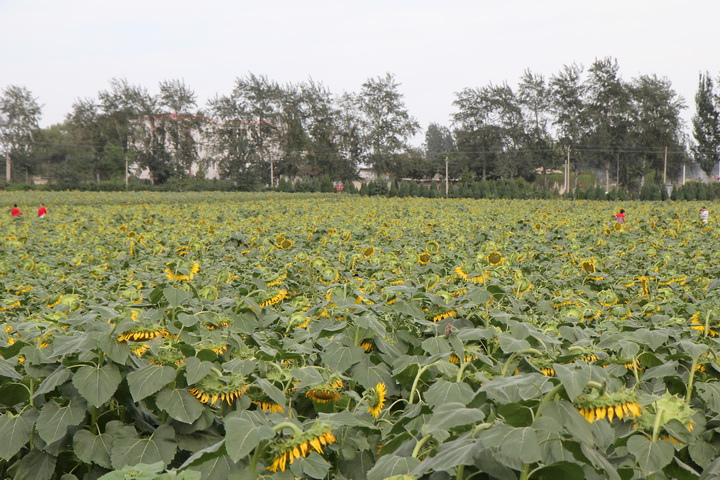 照片 057_调整大小.jpg