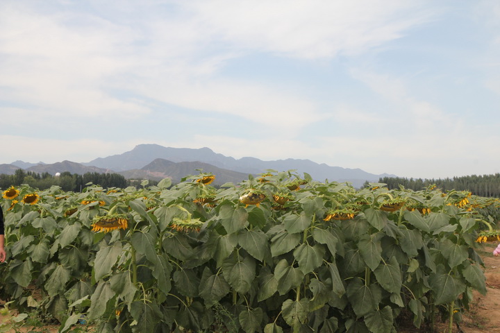 照片 058_调整大小.jpg