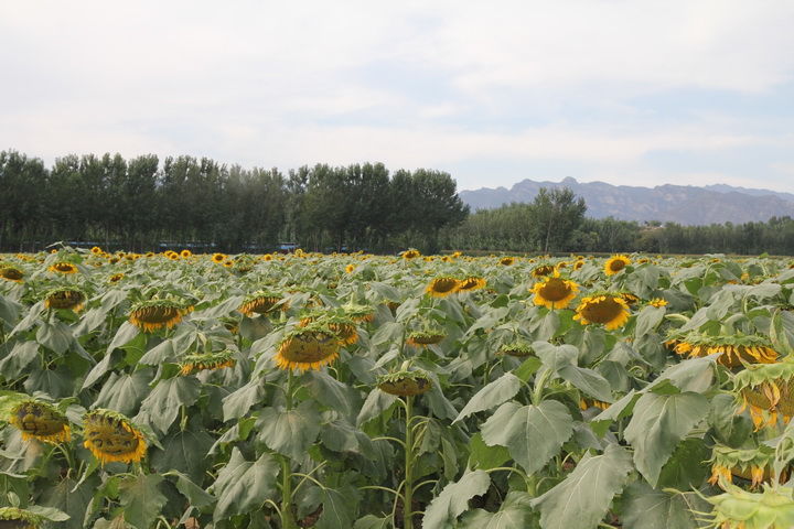 照片 059_调整大小.jpg