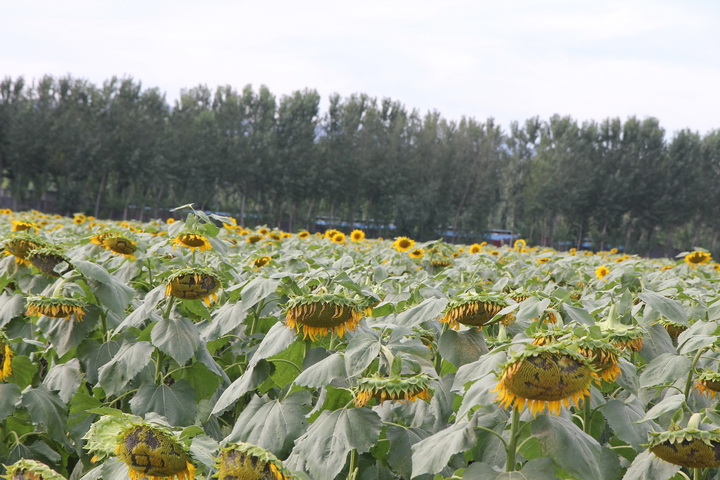 照片 060_调整大小.jpg