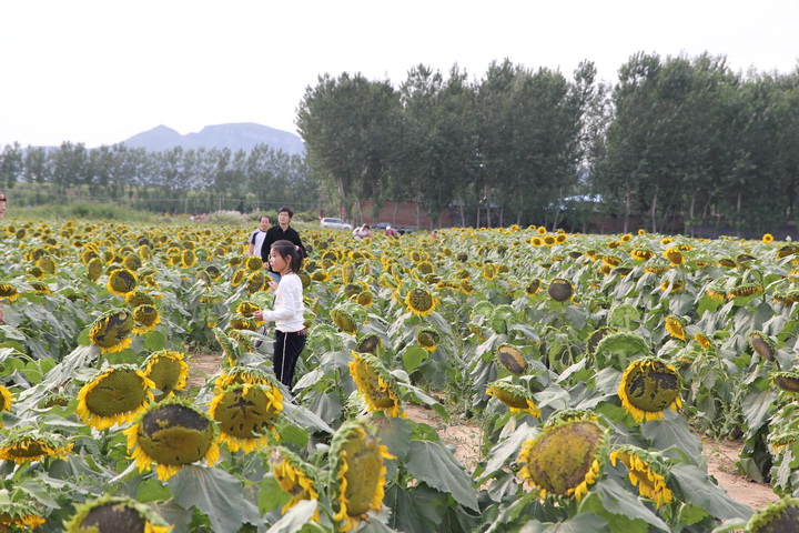 照片 061_调整大小.jpg