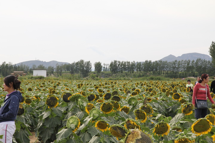 照片 062_调整大小.jpg