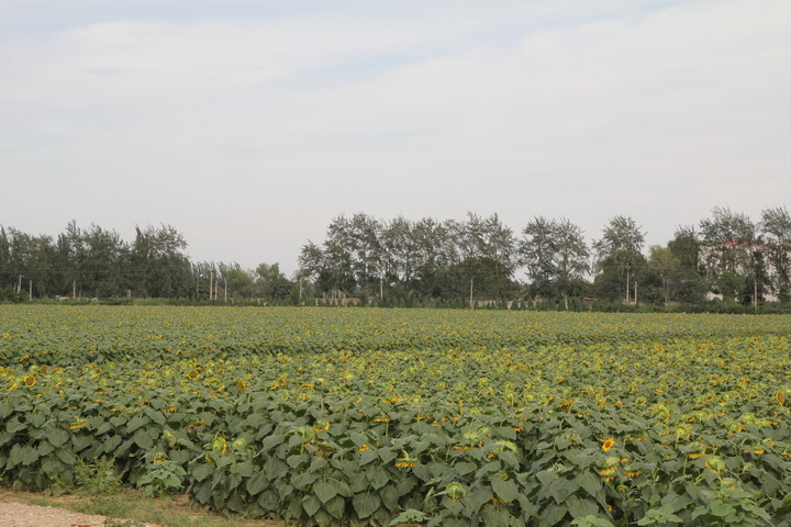 照片 063_调整大小.jpg