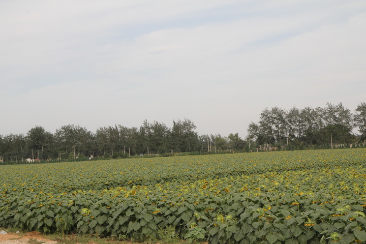 照片 064_调整大小.jpg