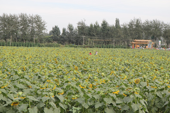 照片 065_调整大小.jpg