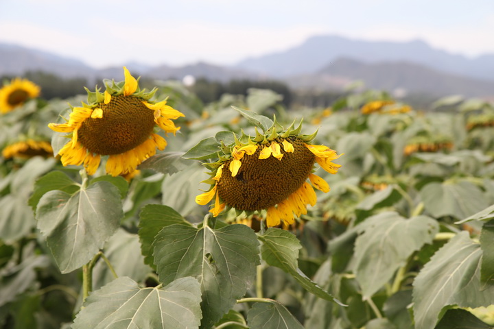 照片 066_调整大小.jpg