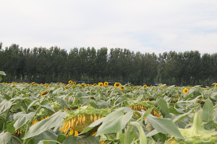 照片 067_调整大小.jpg