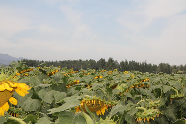 照片 068_调整大小.jpg