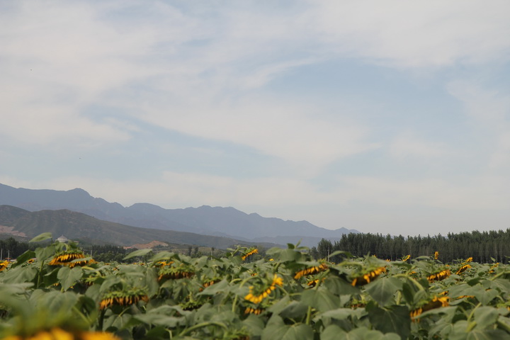 照片 069_调整大小.jpg