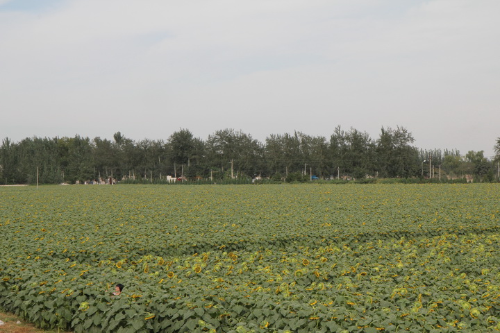 照片 070_调整大小.jpg