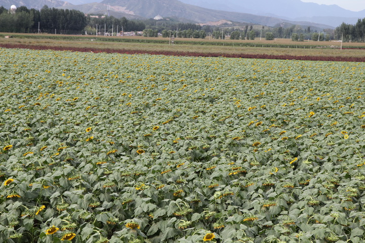 照片 073_调整大小.jpg