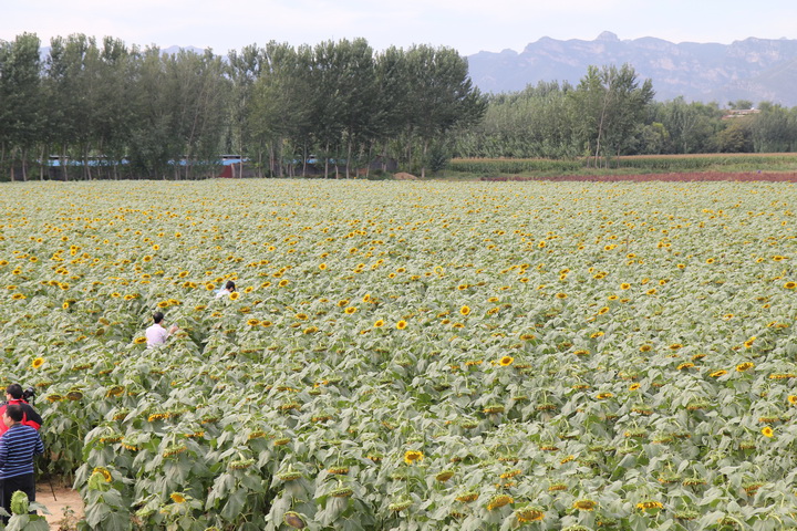 照片 074_调整大小.jpg