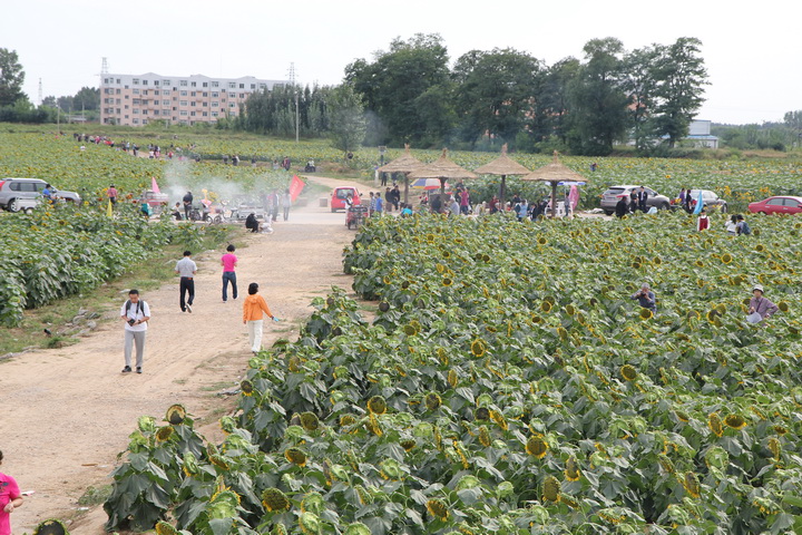 照片 080_调整大小.jpg