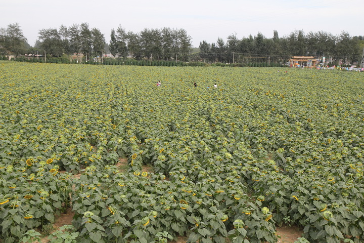 照片 082_调整大小.jpg