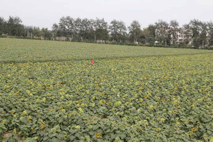 照片 083_调整大小.jpg