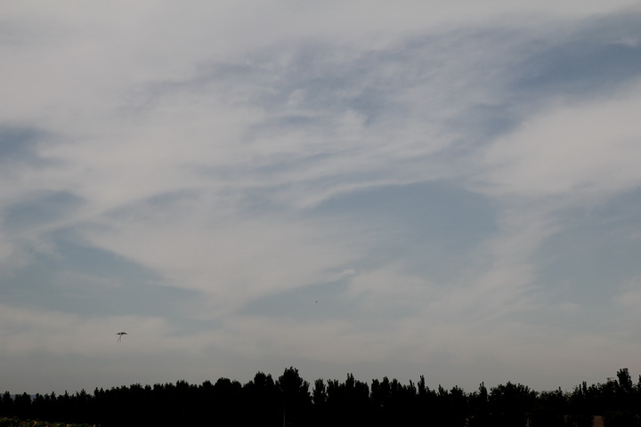 照片 084_调整大小.jpg