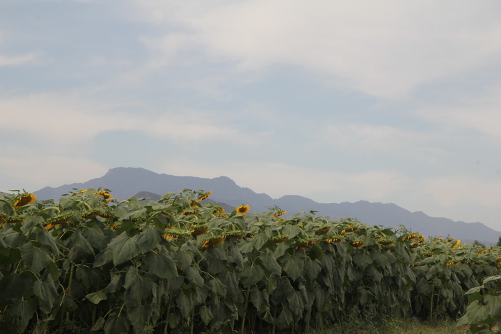 照片 085_调整大小.jpg