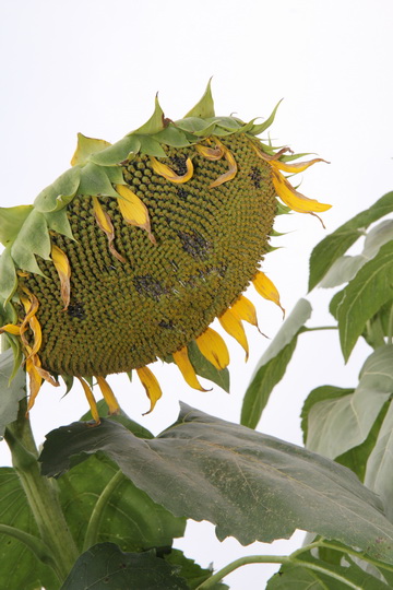 照片 087_调整大小.jpg