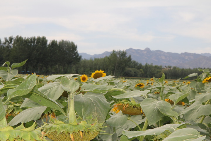 照片 088_调整大小.jpg