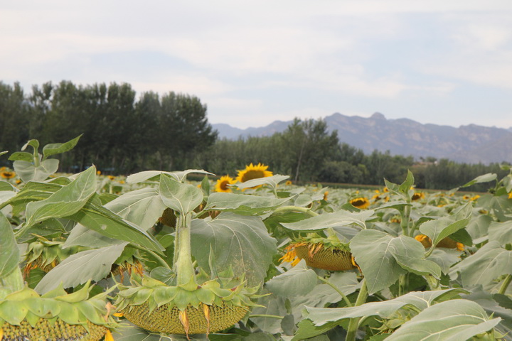 照片 089_调整大小.jpg