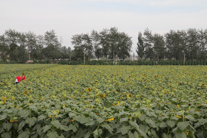 照片 091_调整大小.jpg