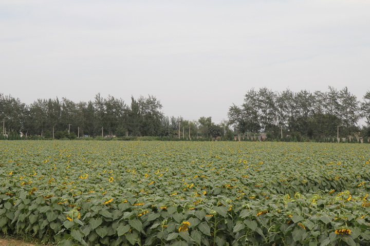 照片 092_调整大小.jpg