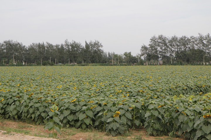 照片 093_调整大小.jpg