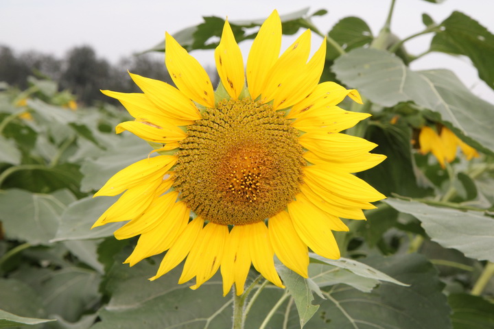 照片 094_调整大小.jpg