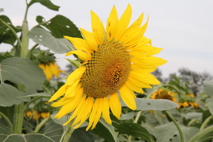 照片 095_调整大小.jpg