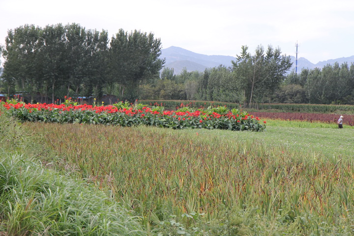 照片 096_调整大小.jpg