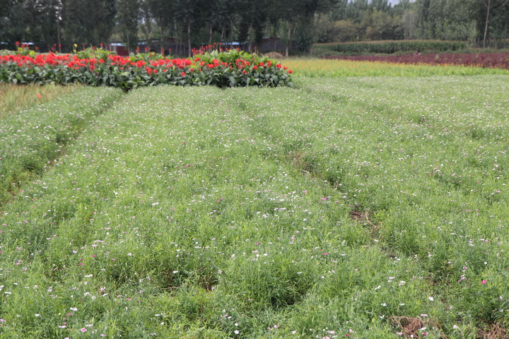 照片 097_调整大小.jpg