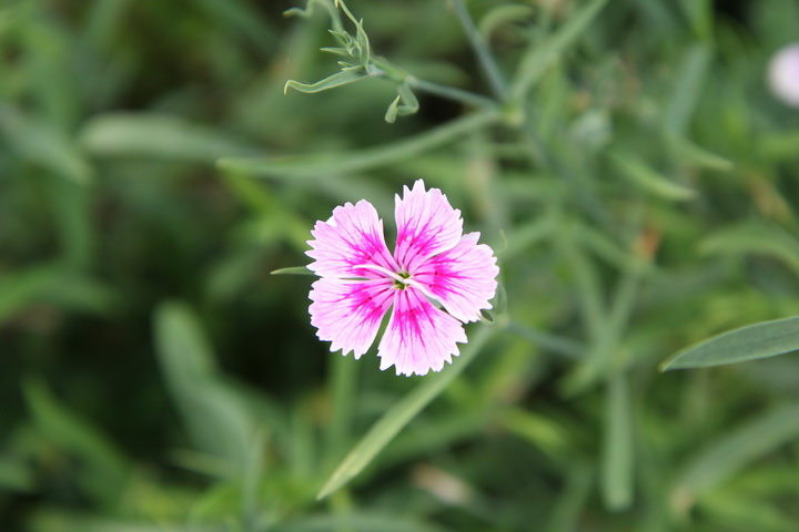 照片 098_调整大小.jpg