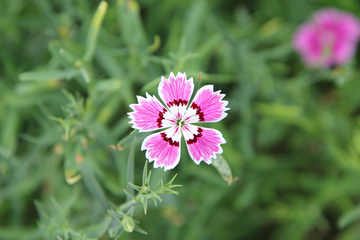 照片 099_调整大小.jpg