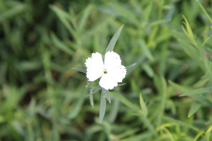 照片 100_调整大小.jpg