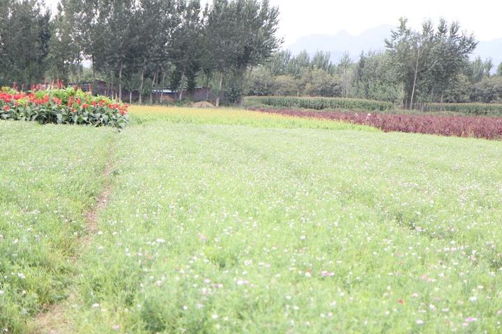 照片 102_调整大小.jpg