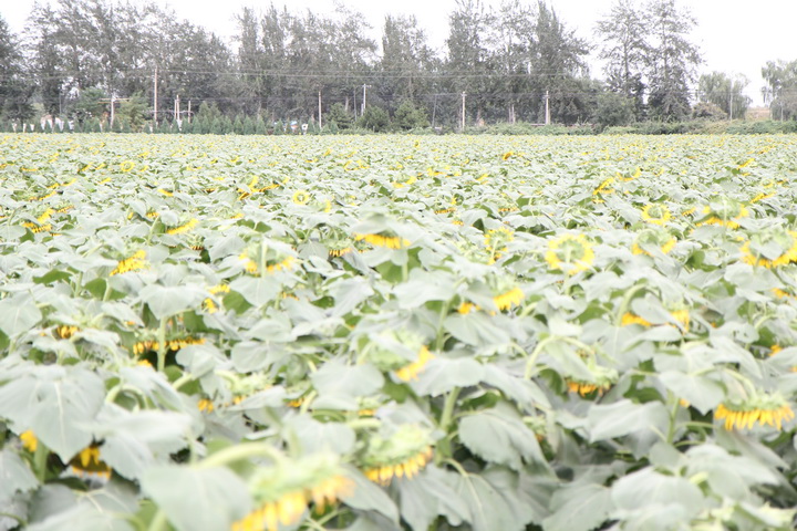 照片 104_调整大小.jpg